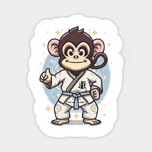 Taekwondo master Sticker